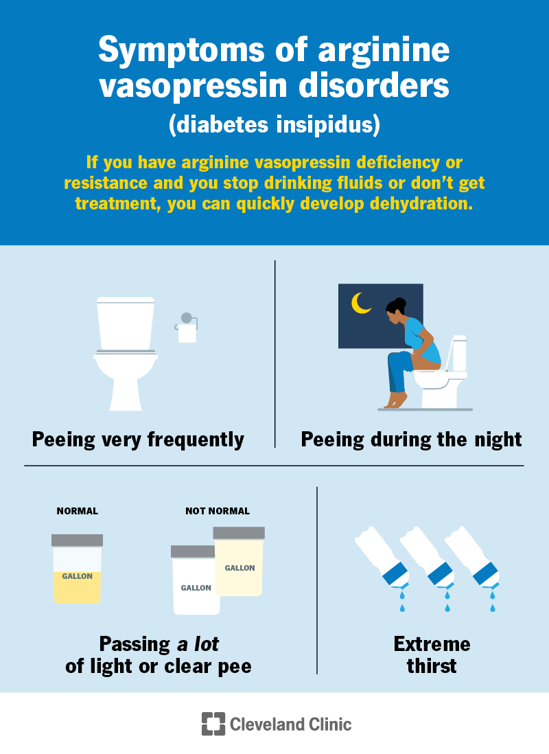 Symptoms include peeing frequently, including through the night; passing large amounts of pee; and intense thirst